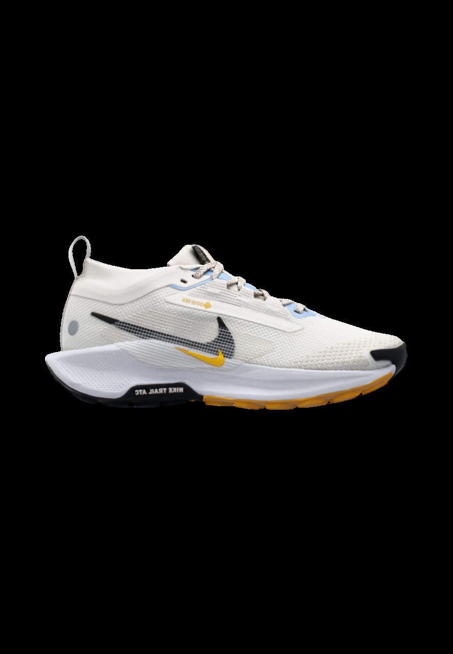 Nike Pegasus Trail 5 Gore Tex Trail off white and multi