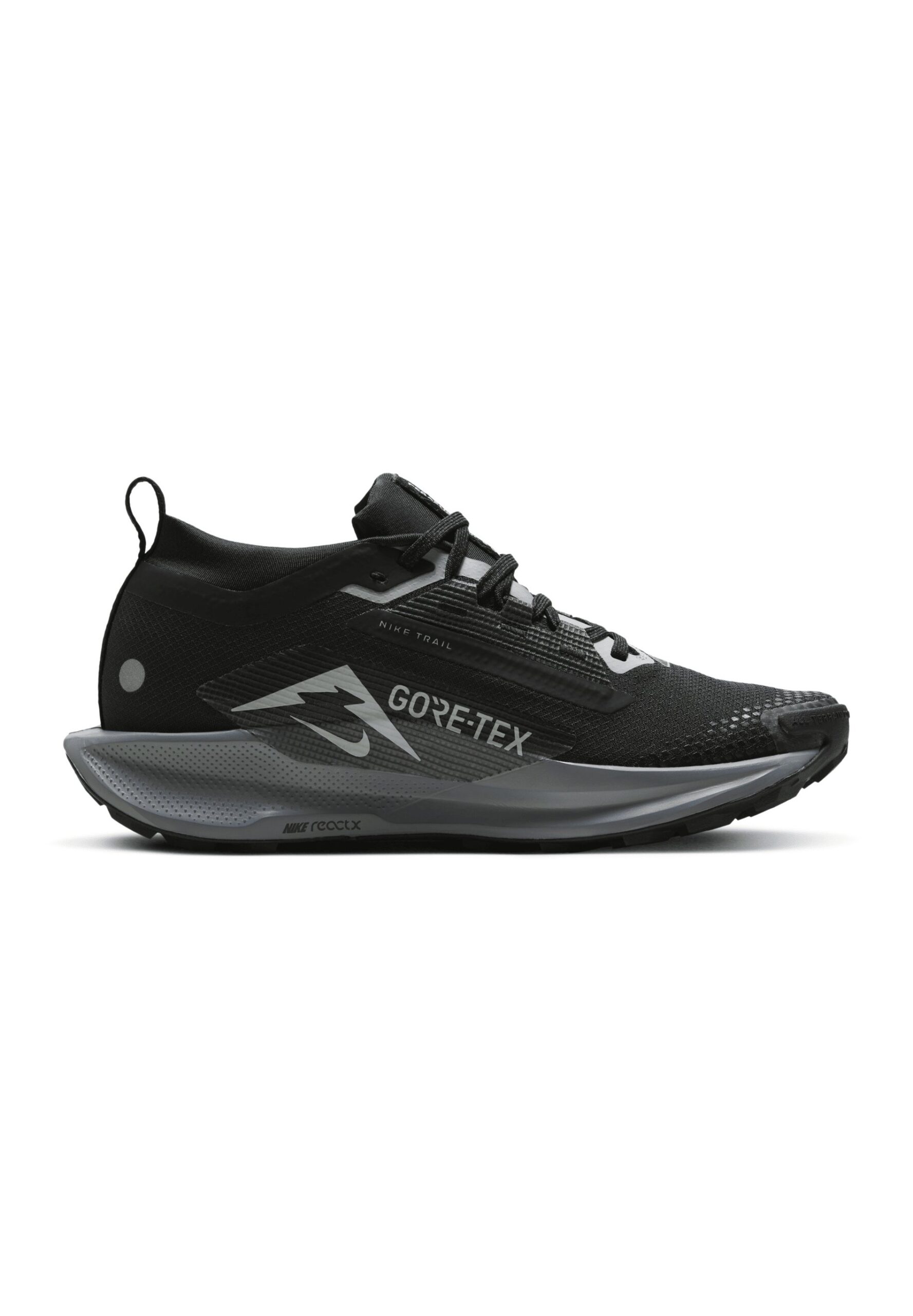 Nike Pegasus Trail 5 Gore Tex Trail Black